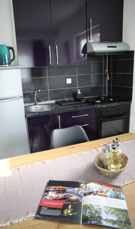 Apartment Sandra Toplice Sveti Martin Sveti Martin Na Muri Exteriér fotografie